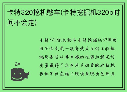卡特320挖机憋车(卡特挖掘机320b时间不会走)