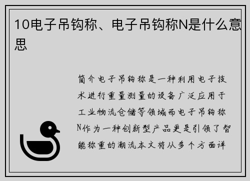 10电子吊钩称、电子吊钩称N是什么意思