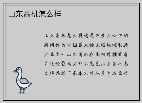 山东高机怎么样